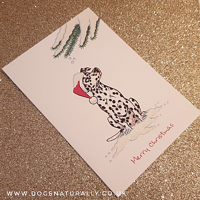 Dalmatian Christmas Card (Flitter Range)